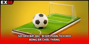 Soi kèo bất bại